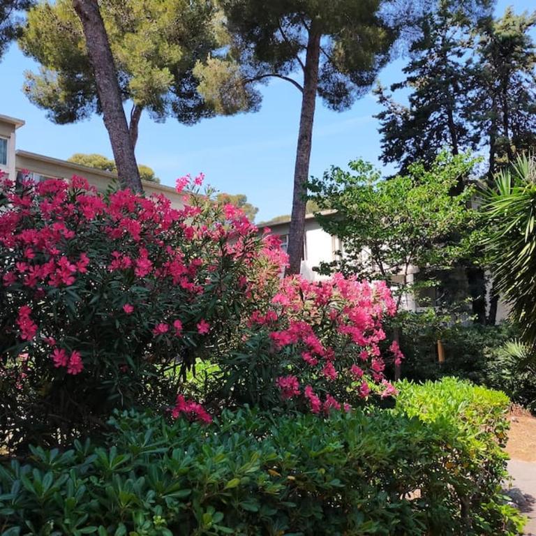 Cigalou sous les pins - Apartment mit 1 Schlafzimmer - 24