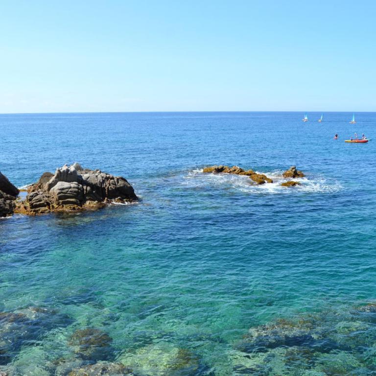 Studios Sol y mar avec Piscine - Estudio Superior - 13