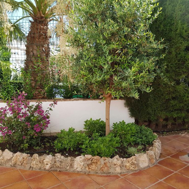 DELUXE Studio ATHOS 50 MP Garden patio BENALMADENA Golf & Beach - Habitación Doble con vistas al jardín - 23