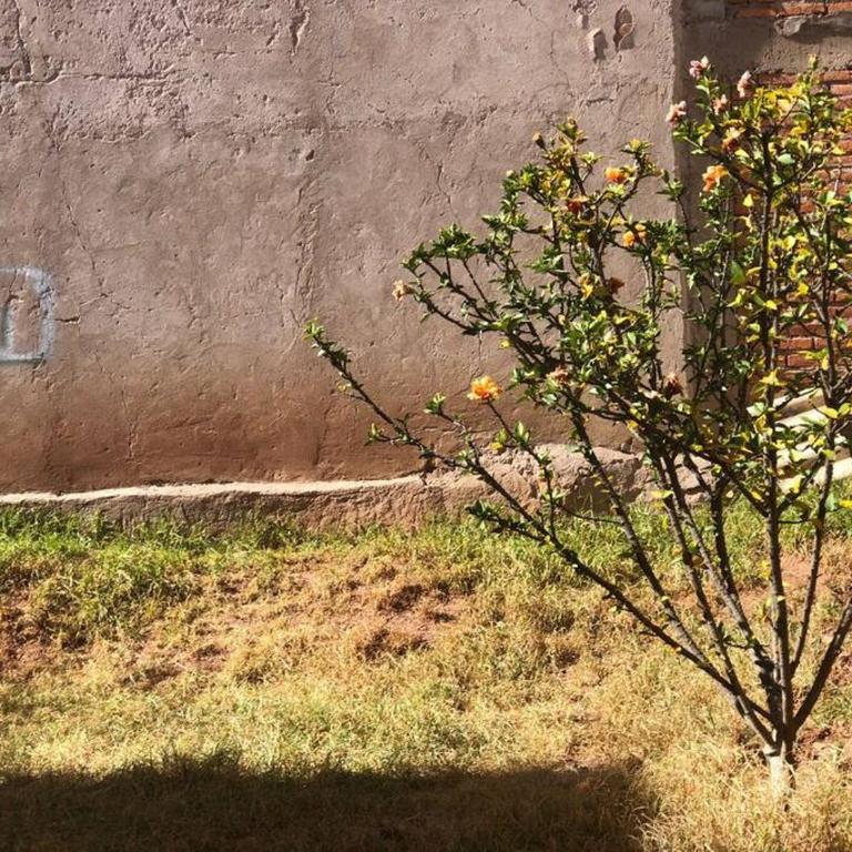 Apartamento cómodo y céntrico - Apartamento de 1 dormitorio - 34