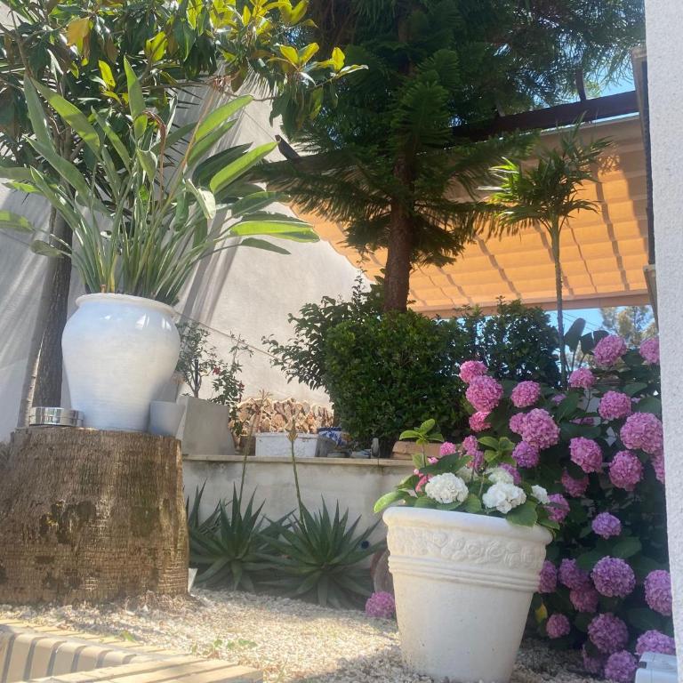 Casa Los Encinares - Casa de 5 dormitorios - 7