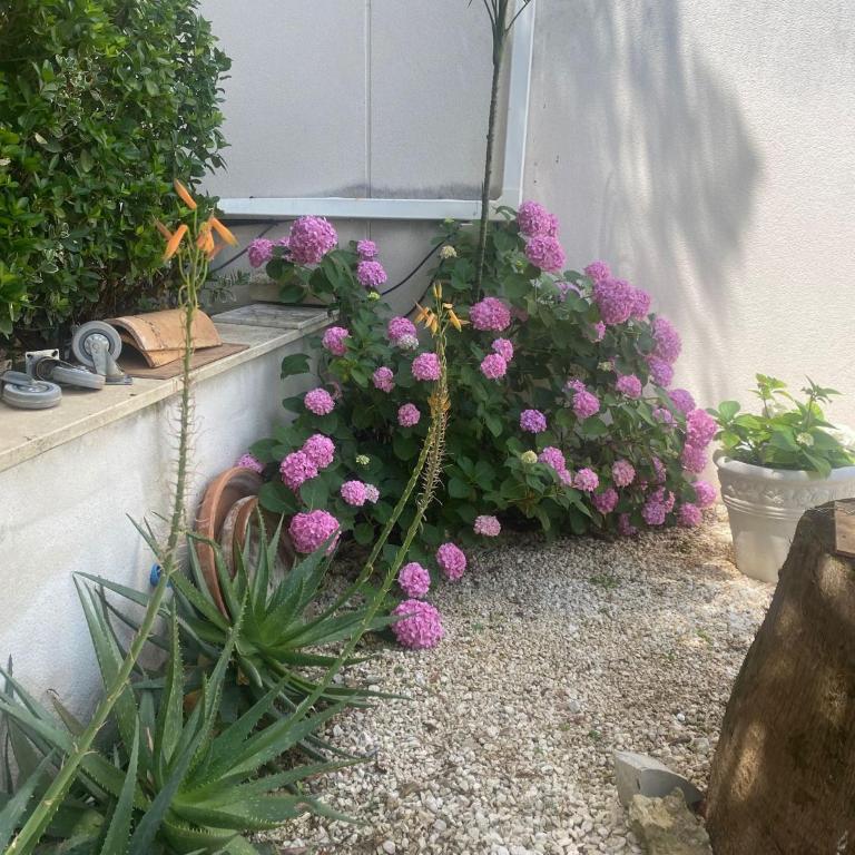 Casa Los Encinares - Casa de 5 dormitorios - 12