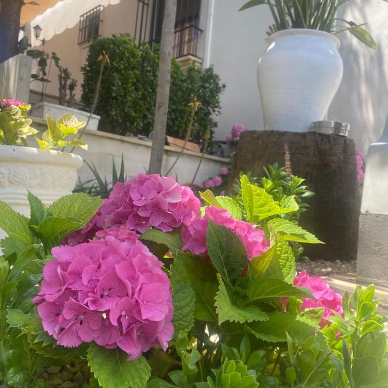 Casa Los Encinares - Casa de 5 dormitorios - 23