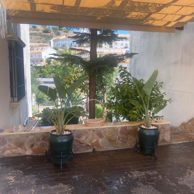 Casa Los Encinares - Casa de 5 dormitorios - 31