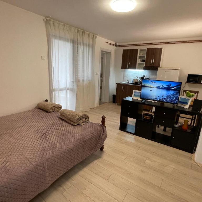 Smeštaj Nedić Karaula - Apartman sa Terasom - 8