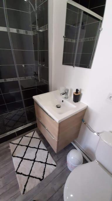 Residence de l évèché 4 - Appartement 1 Chambre - 5