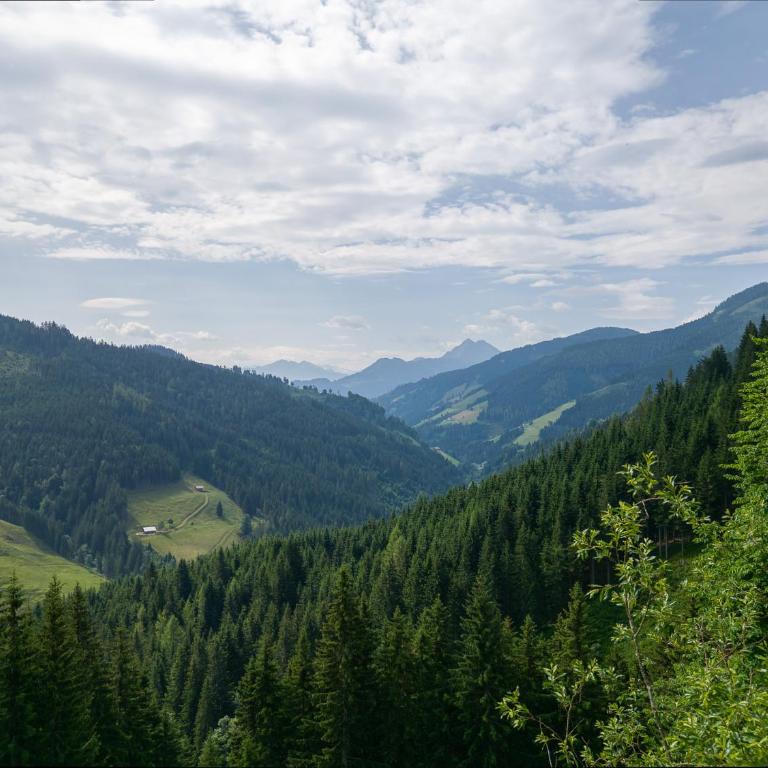 Highking Chalet Grünegg - One-Bedroom Chalet - 18