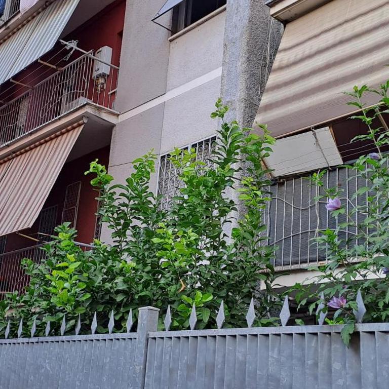 Casa Azalee Apartment - Apartment mit 1 Schlafzimmer - 14