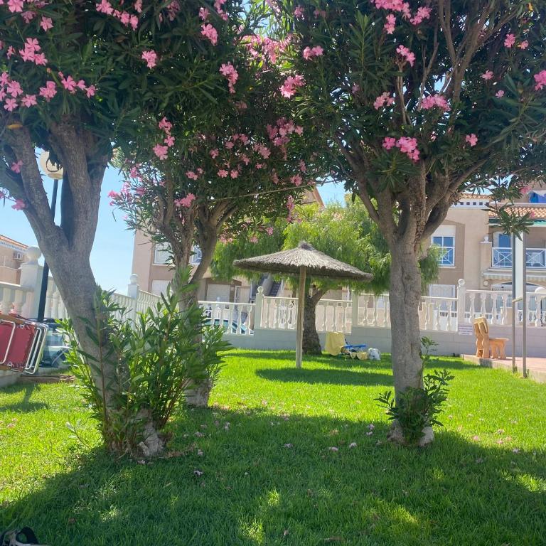 Casa Joanna, bike included - Apartamento de 2 dormitorios - 16
