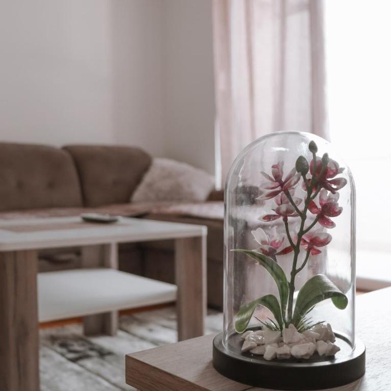 Antunovic apartment - Apartman sa 1 Spavaćom Sobom - 9