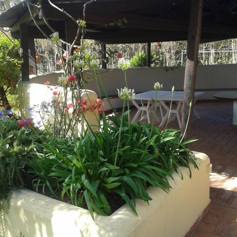 Villa Degli Olivi - Casa con 5 Camere da Letto - 5