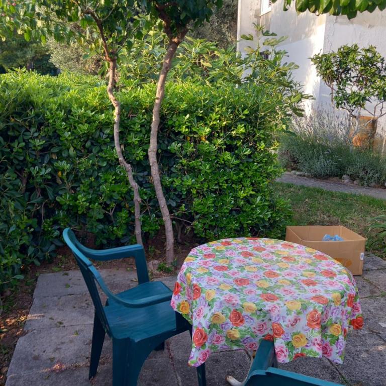 Dragana - Apartman sa 1 Spavaćom Sobom - 13