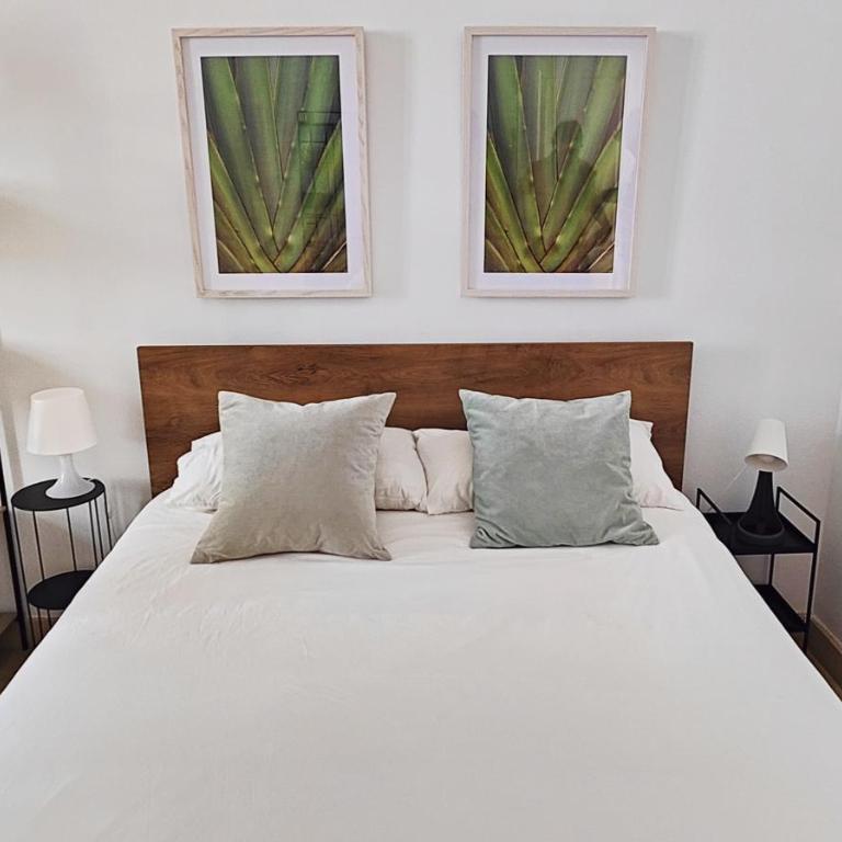 ESTUDIO TRANQUILO EN PLENO CENTRO DE MALAGA - Apartamento de 1 dormitorio - 3