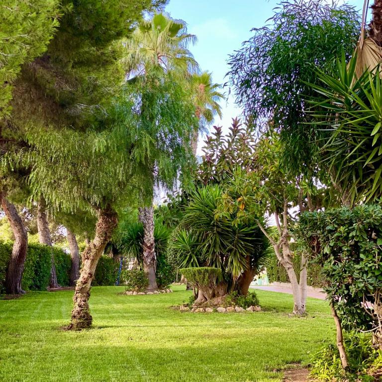 Torrevista three bedroom apartment, two swimming pools and garage - Apartamento de 3 dormitorios - 21