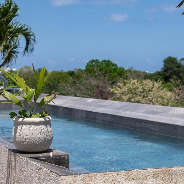 AWA TORRE F Enamórate de Playa del Carmen - Apartamento Deluxe - 42