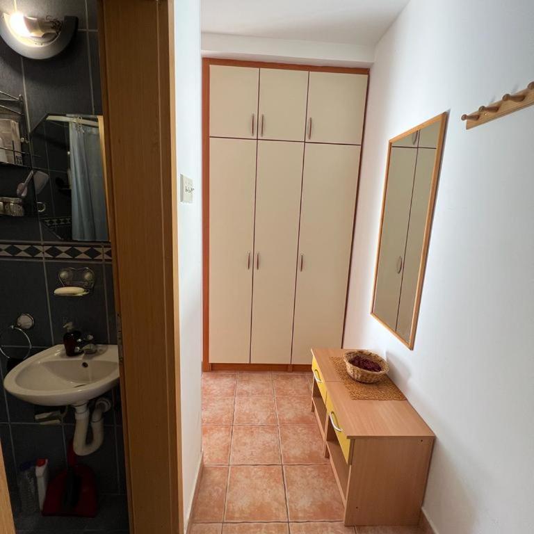Milinovic apartmani1 - Apartman sa 1 Spavaćom Sobom - 2