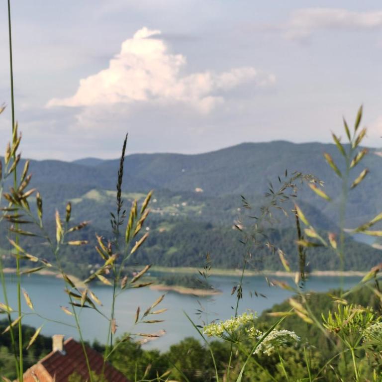 Tarska kuća za odmor - Apartman sa 2 Spavaće Sobe - 5