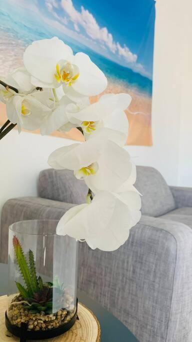 Seven House Poetto - Appartamento con 3 Camere da Letto - 7