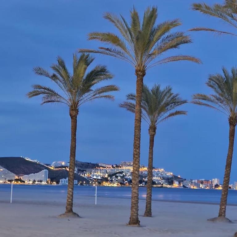 Cullera Confort Playa - Two-Bedroom Apartment - 41