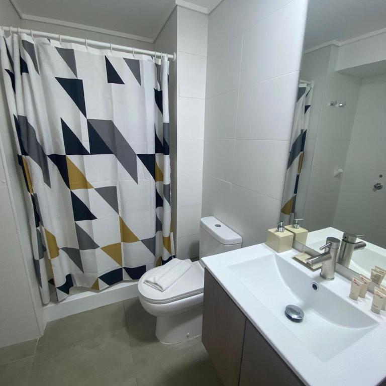 Epicentro Suites Apart Hotel - Temuco - Apartamento Estándar - 11