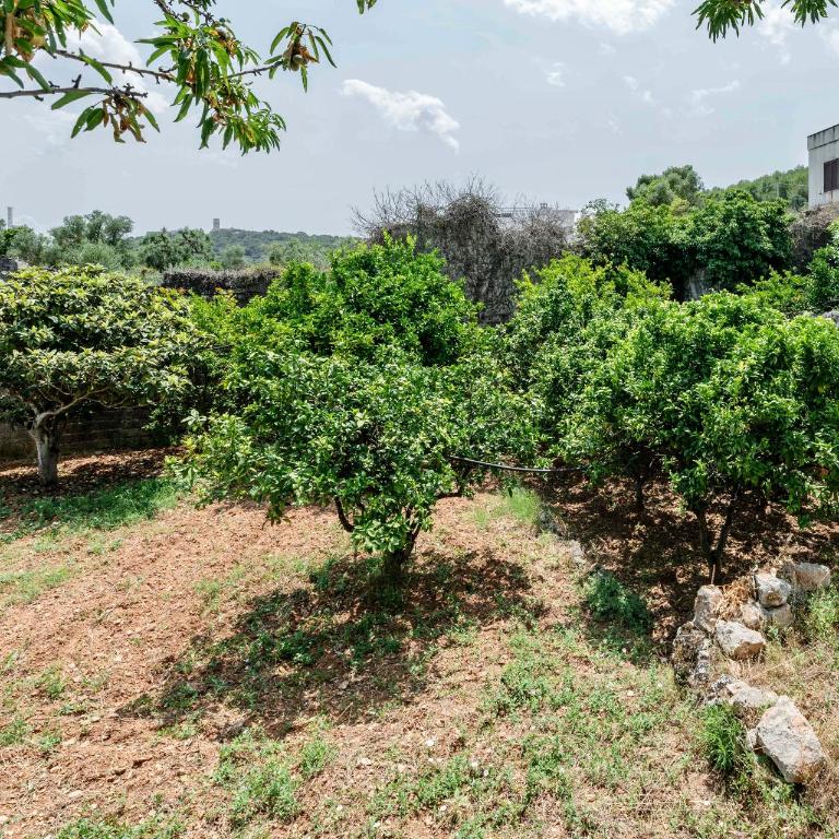 Il Giardino - Appartamento con 1 Camera da Letto - 12