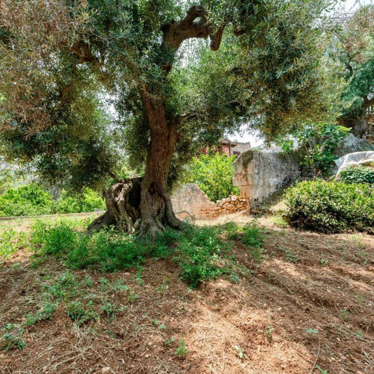 Il Giardino - Appartamento con 1 Camera da Letto - 9