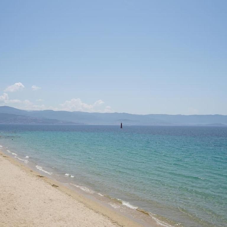 F2 Type LOFT à Ajaccio - Appartement 1 Chambre - 34
