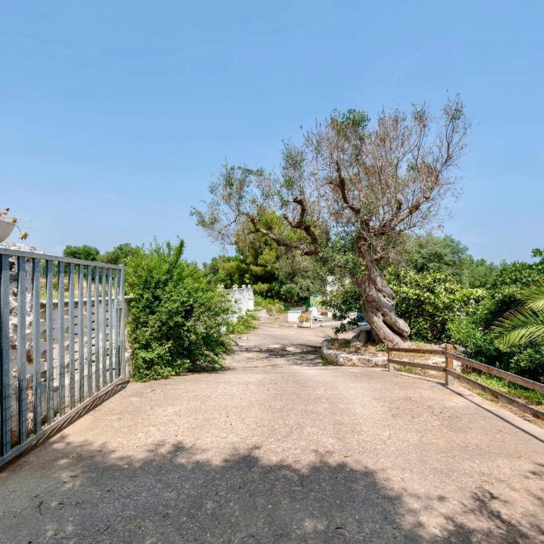 Il Giardino - Appartamento con 1 Camera da Letto - 3