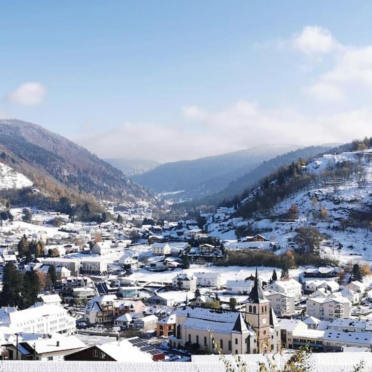 Fenêtre sur les crêtes Vosgiennes - Chalet mit 3 Schlafzimmern - 20