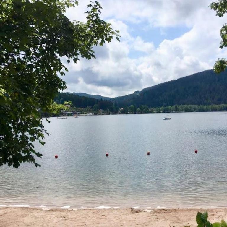 Fenêtre sur les crêtes Vosgiennes - Chalet mit 3 Schlafzimmern - 55