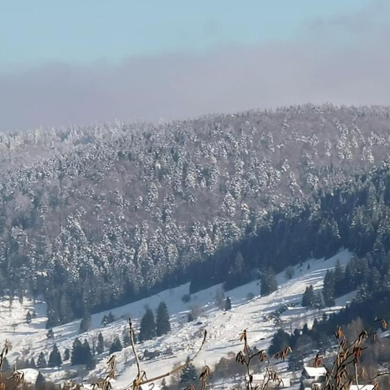 Fenêtre sur les crêtes Vosgiennes - Chalet mit 3 Schlafzimmern - 59