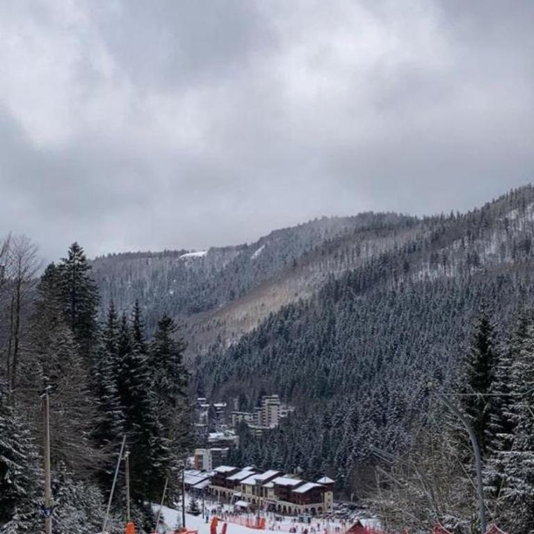 Fenêtre sur les crêtes Vosgiennes - Chalet mit 3 Schlafzimmern - 64