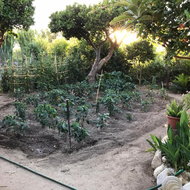 Case Vacanze Tropea La Pinnata - Three-Bedroom House with Garden - 18