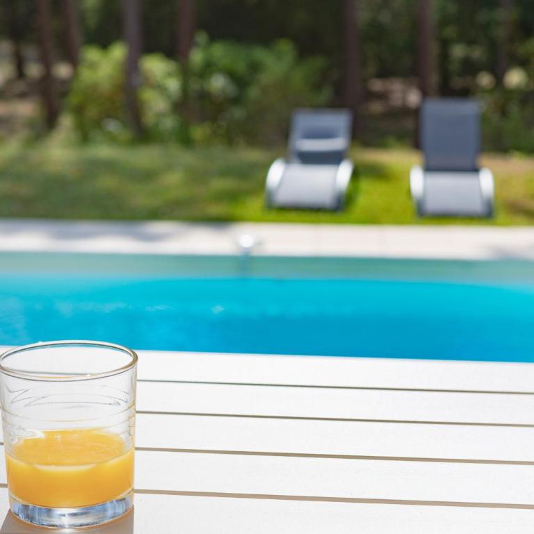 villa piscine chauffée 10pers dans cadre exceptionnel-AG19 - Villa with Private Pool - 2