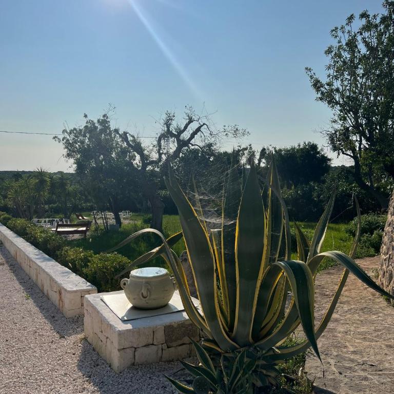 Trullo OriAlé - Superior Villa - 33