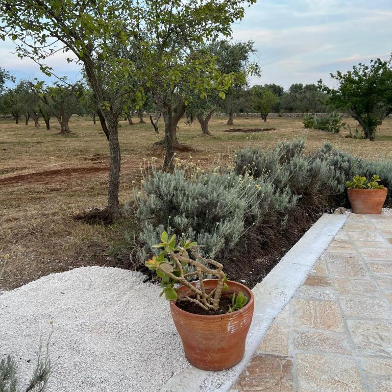 Trullo OriAlé - Superior Villa - 34