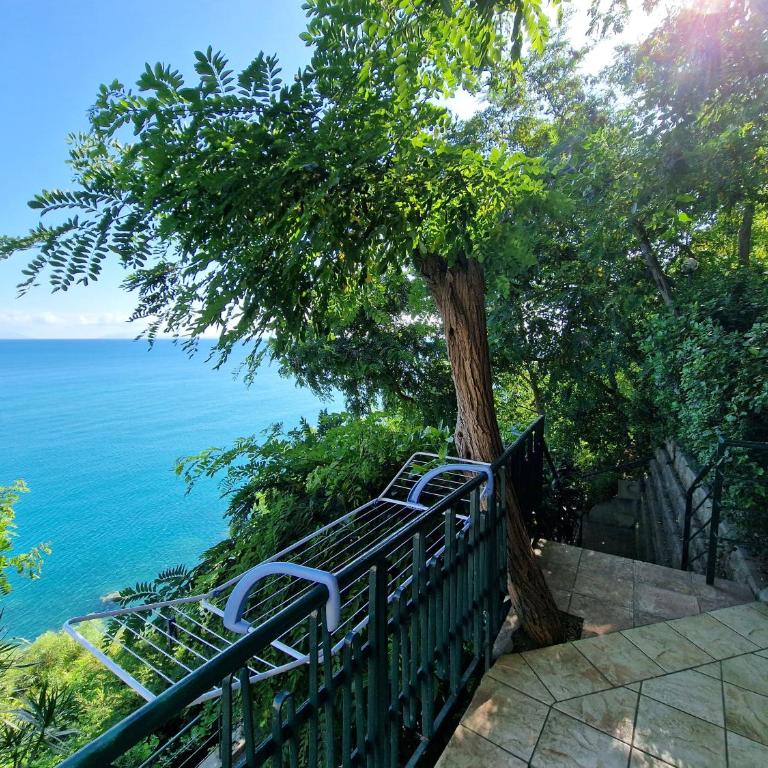 Villa Anita Apartments - Appartamento Monolocale - 8