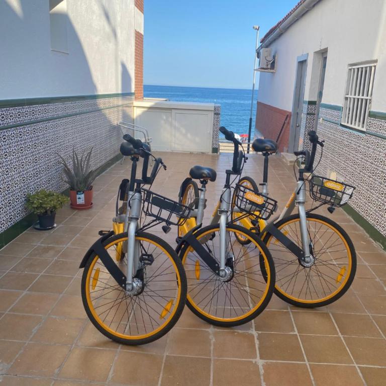 La Vela Playa 3 - One-Bedroom Apartment - 24