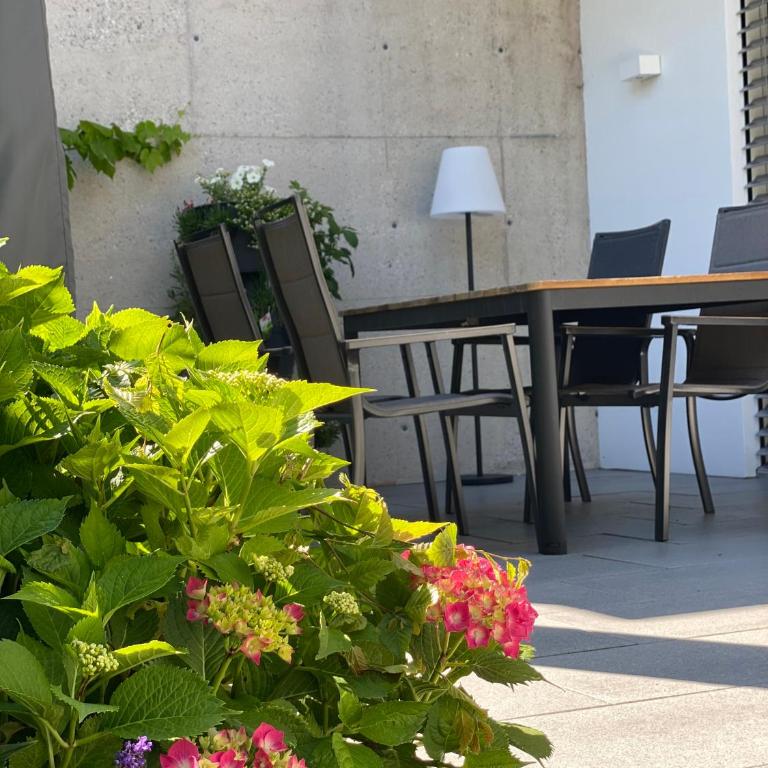 quartier39 - Appartement 2 Chambres - 16