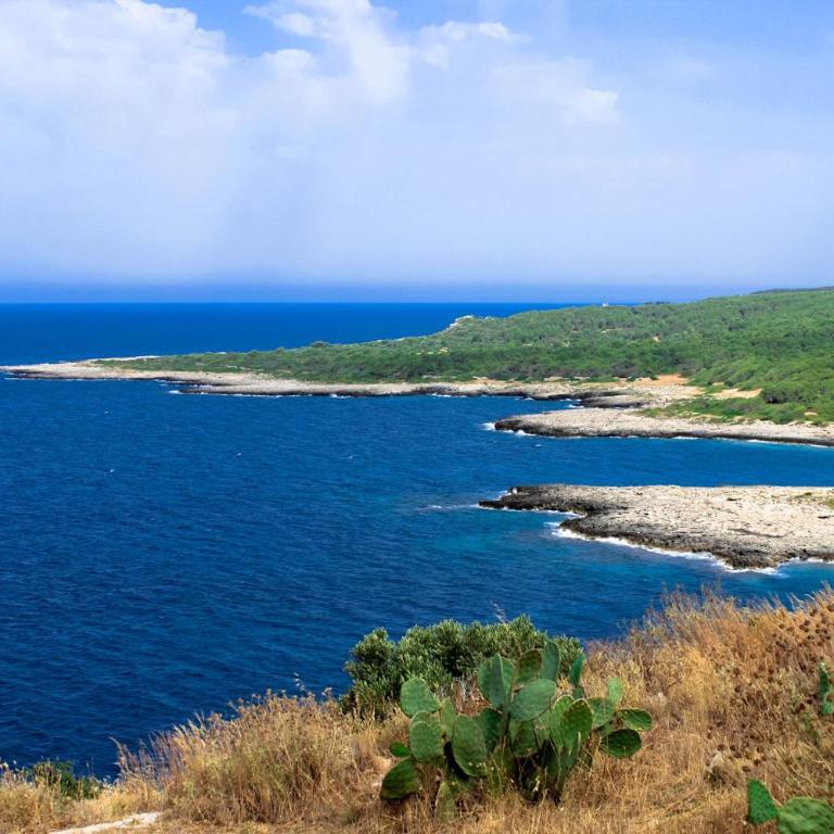 Casina Maria al Mare - Casa Vacanze - 76