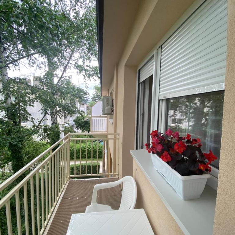 Eleni - Apartman sa 1 Spavaćom Sobom - 11
