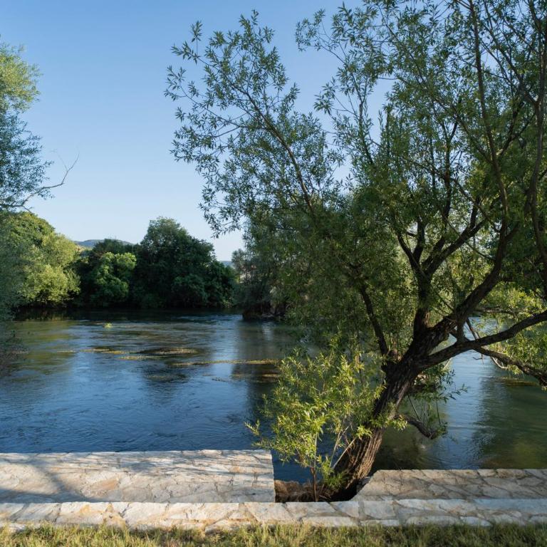 Villa Zulfikar - Villa - 24