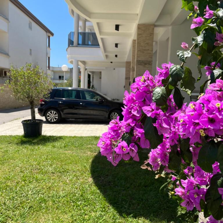 AM Apartments - Porodična Soba - 7