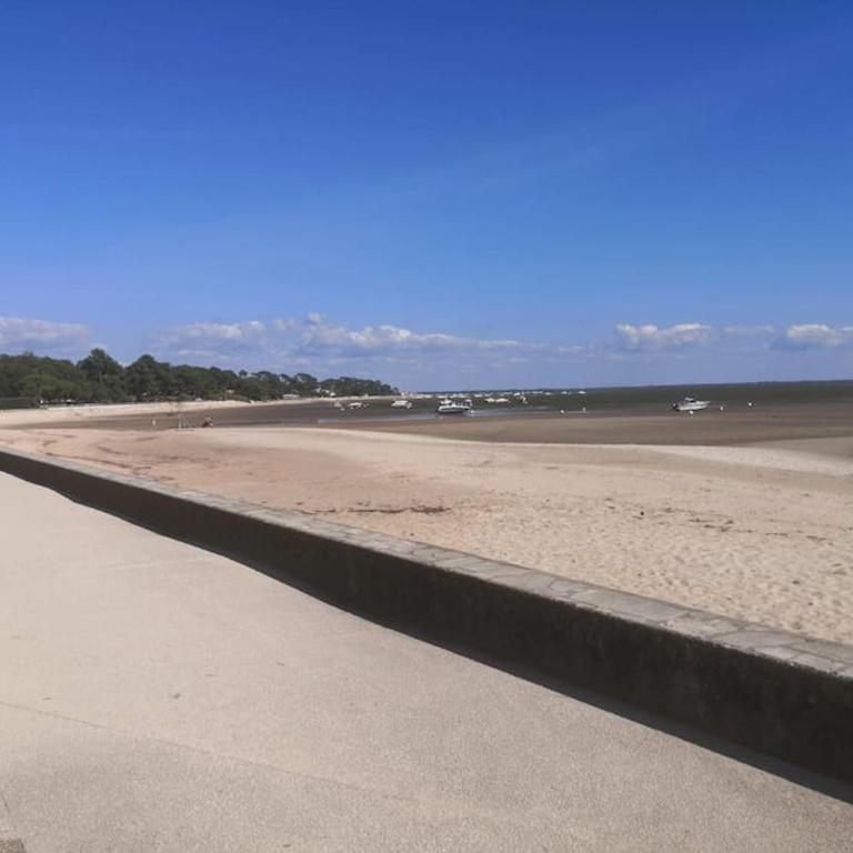 Très belle villa d'architecte à 30 m de la plage - Villa - 18