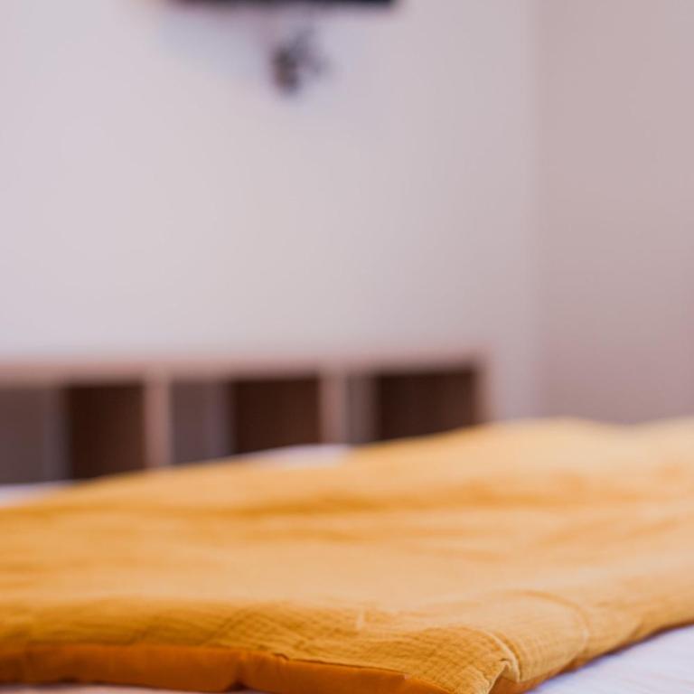 **Auberge de l'Aude** - Chambre Double Deluxe avec Douche - 5