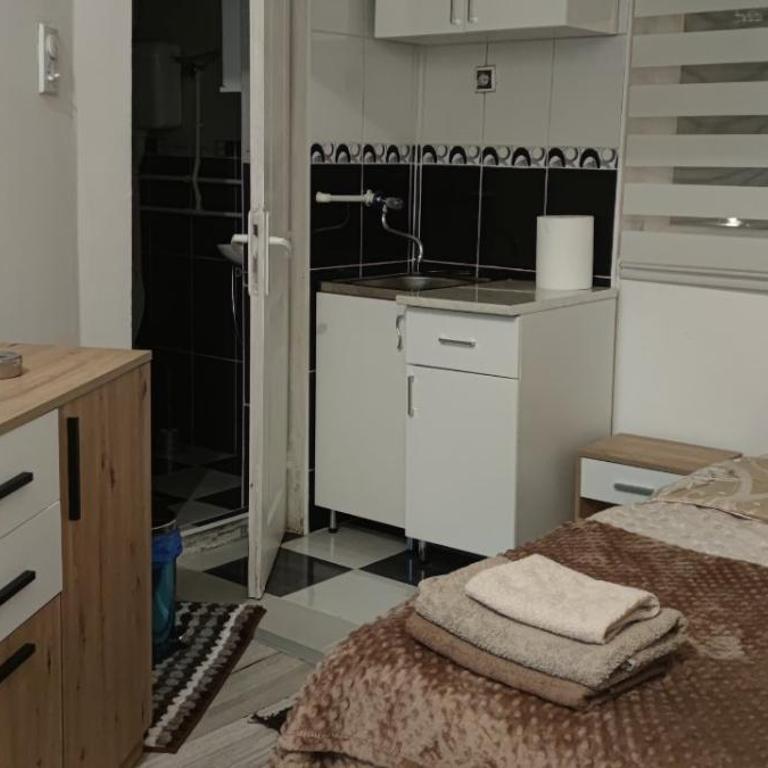 Small Apartment PRIVATE bathroom STRONG WI-FI - Niskobudžetna Dvokrevetna Soba sa Bračnim Krevetom/Zasebnim Krevetima - 9