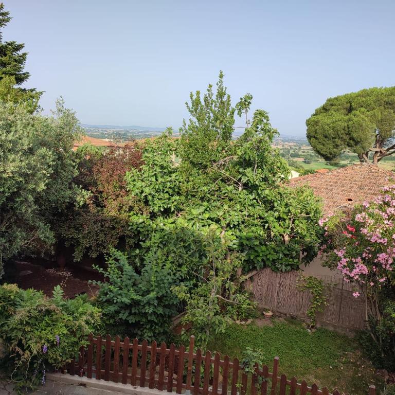 Il Fico di Cortona - Casa con 2 Camere da Letto - 15