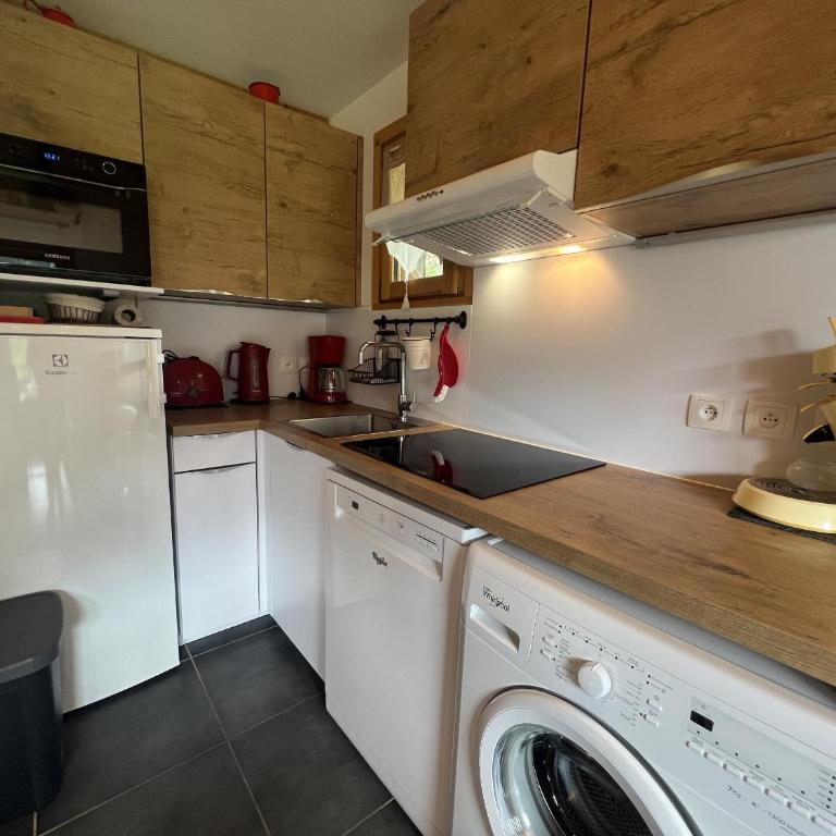 Reposire 8, appartement 5 pers plein sud - Appartamento con Balcone - 5