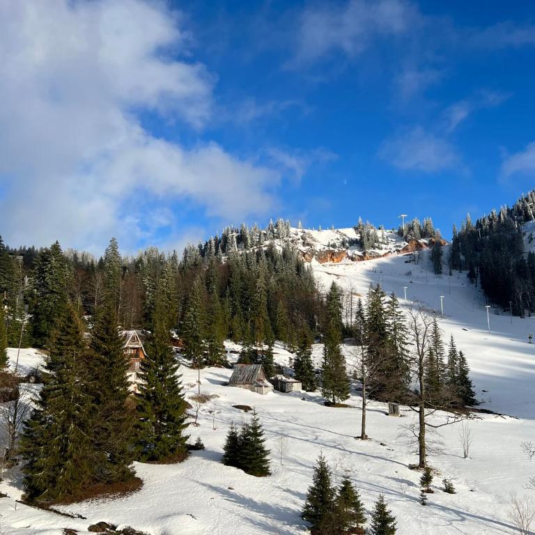 White Peaks - Apartman sa 1 Spavaćom Sobom - 20