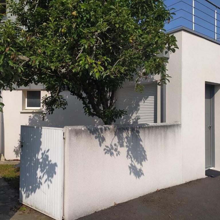 Belle Maisonnette avec jardin 2 pas du VIEUX PORT - Maison 1 Chambre - 16